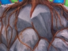 1000225_10151807680158271_652038451_n