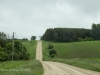 Country Road #2