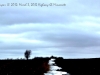 Around the Highway