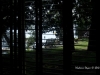 A View
