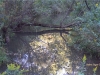 a-mirror