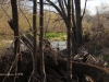 by-the-river