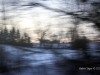 elusive-landscape