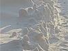 frozen-army