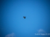 In the Sky of Blue
