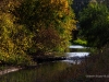 River Landscape