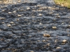 Rocks in the River