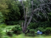 img_7273web