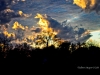 Evening Sky #3