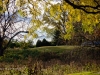 Autumn's Landscape