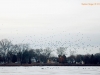 silver-lake-1