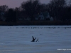 sliver-lake 2