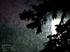 snow-2