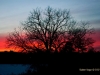 sunset-at-the-lake